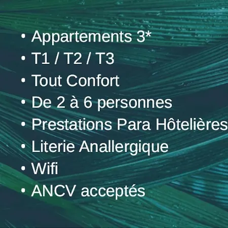 F1 Tulipe * ラ・ブルブール